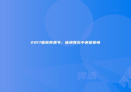 2017固原啤酒节：休闲娱乐中邂逅爱情