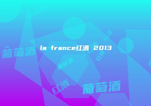 la france红酒 2013