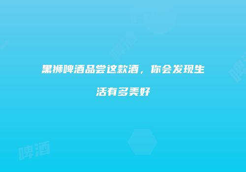 黑狮啤酒品尝这款酒，你会发现生活有多美好