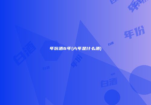 年份酒6年(六年是什么酒)