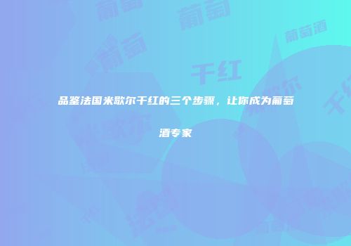 品鉴法国米歇尔干红的三个步骤，让你成为葡萄酒专家