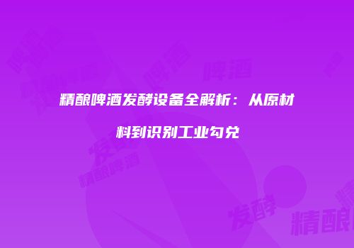 精酿啤酒发酵设备全解析：从原材料到识别工业勾兑