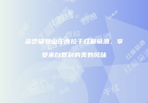 品尝黛斐山庄西拉干红葡萄酒，享受来自智利的美妙风味