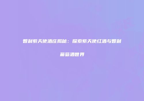 智利紫天使酒庄揭秘：探索紫天使红酒与智利葡萄酒世界