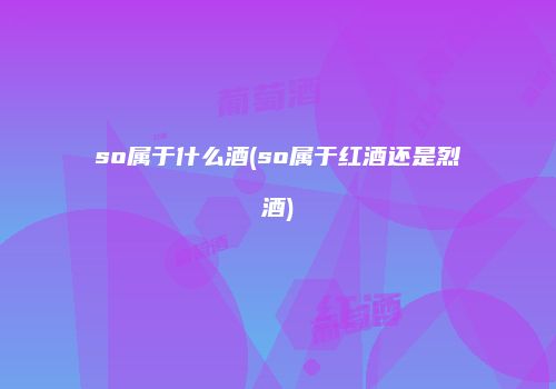 so属于什么酒(so属于红酒还是烈酒)