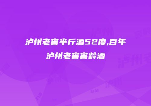 泸州老窖半斤酒52度,百年泸州老窖窖龄酒
