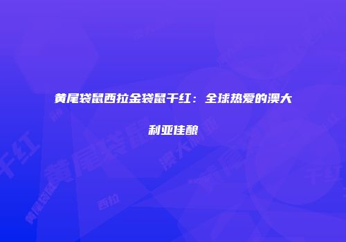 黄尾袋鼠西拉金袋鼠干红：全球热爱的澳大利亚佳酿
