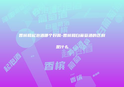 香槟和起泡酒哪个好喝-香槟和白葡萄酒的区别是什么
