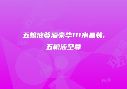 五粮液尊酒豪华111水晶装,五粮液至尊