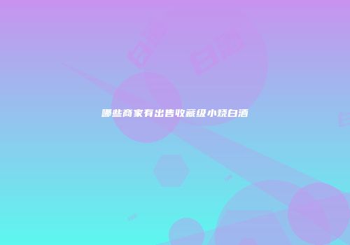 哪些商家有出售收藏级小烧白酒