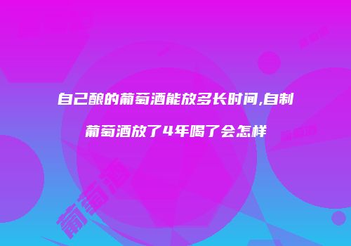 自己酿的葡萄酒能放多长时间,自制葡萄酒放了4年喝了会怎样
