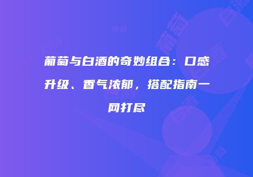 葡萄与白酒的奇妙组合：口感升级、香气浓郁，搭配指南一网打尽