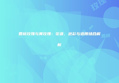 香槟玫瑰与黄玫瑰：花语、色彩与适用场合解析