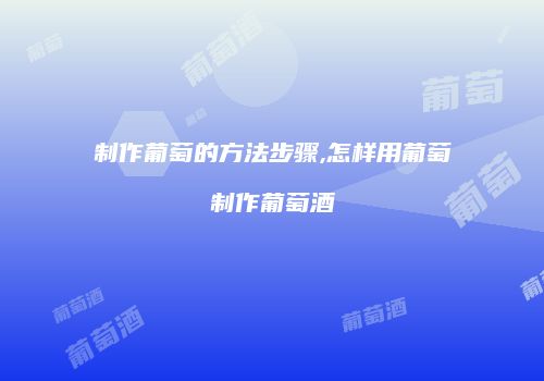 制作葡萄的方法步骤,怎样用葡萄制作葡萄酒