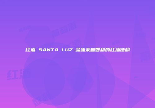 红酒 SANTA LUZ-品味来自智利的红酒佳酿