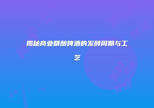 揭秘商业精酿啤酒的发酵周期与工艺
