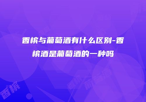 香槟与葡萄酒有什么区别-香槟酒是葡萄酒的一种吗