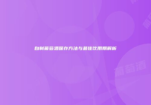 自制葡萄酒保存方法与最佳饮用期解析
