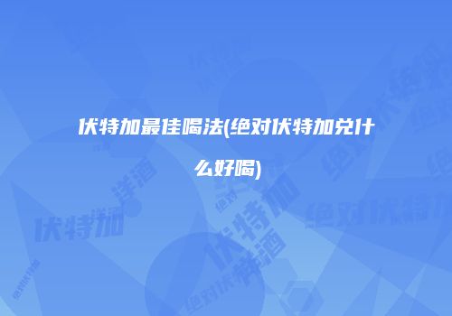 伏特加最佳喝法(绝对伏特加兑什么好喝)