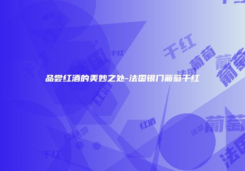 品尝红酒的美妙之处-法国银门葡萄干红