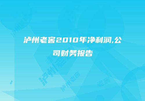 泸州老窖2010年净利润,公司财务报告
