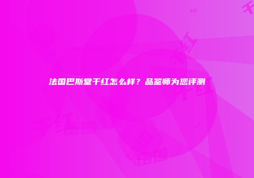 法国巴斯堂干红怎么样？品鉴师为您评测