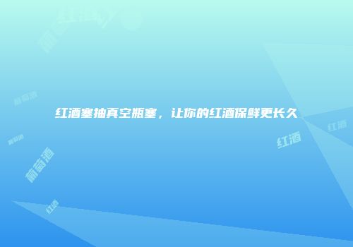 红酒塞抽真空瓶塞，让你的红酒保鲜更长久