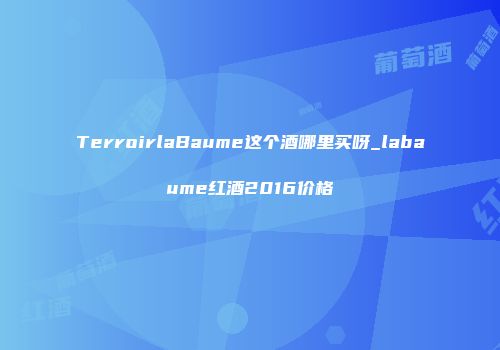 TerroirlaBaume这个酒哪里买呀_labaume红酒2016价格