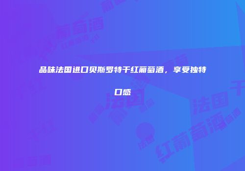 品味法国进口贝斯罗特干红葡萄酒，享受独特口感