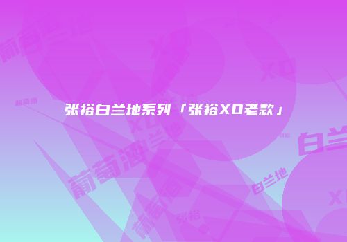 张裕白兰地系列「张裕XO老款」