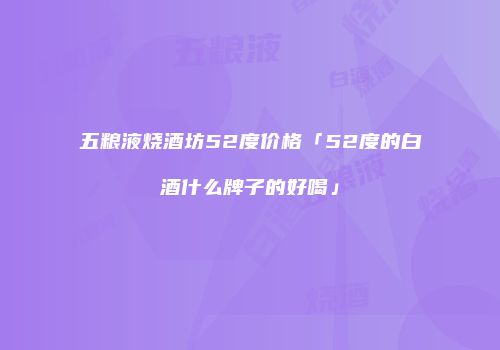 五粮液烧酒坊52度价格「52度的白酒什么牌子的好喝」