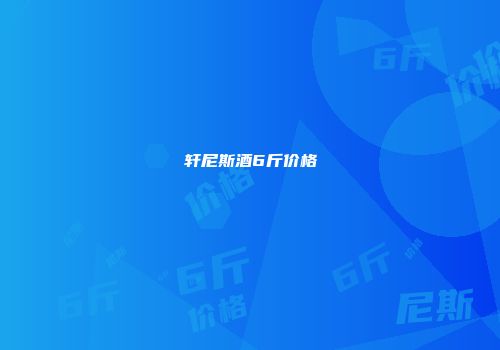 轩尼斯酒6斤价格