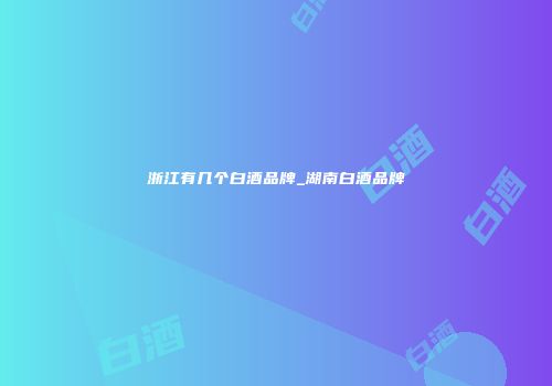 浙江有几个白酒品牌_湖南白酒品牌