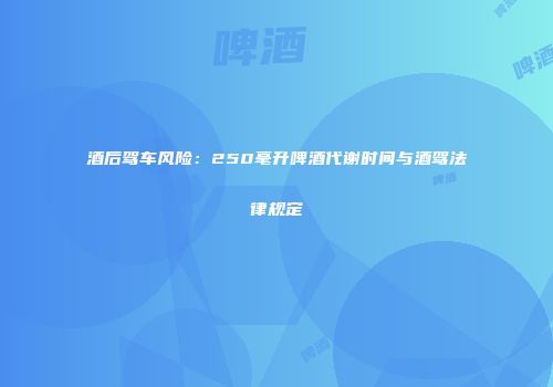 酒后驾车风险：250毫升啤酒代谢时间与酒驾法律规定