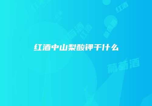 红酒中山梨酸钾干什么