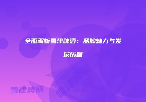 全面解析雪津啤酒：品牌魅力与发展历程