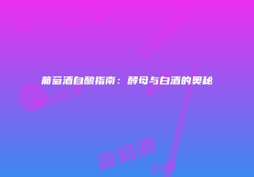 葡萄酒自酿指南：酵母与白酒的奥秘