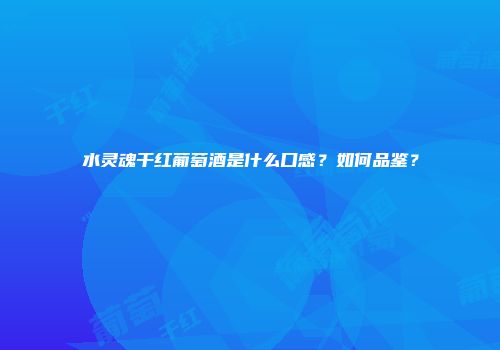 水灵魂干红葡萄酒是什么口感？如何品鉴？