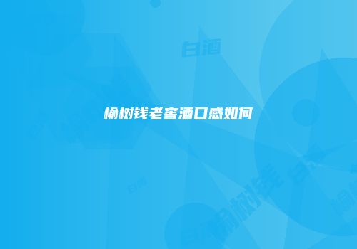 榆树钱老窖酒口感如何