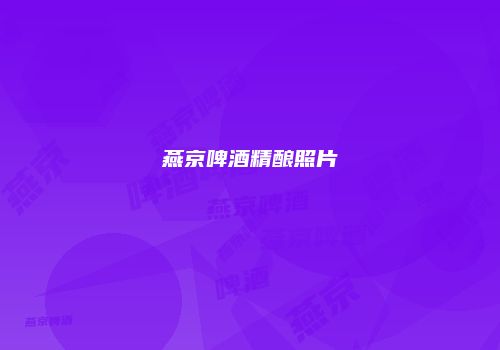 燕京啤酒精酿照片