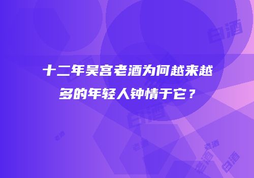 十二年吴宫老酒为何越来越多的年轻人钟情于它？