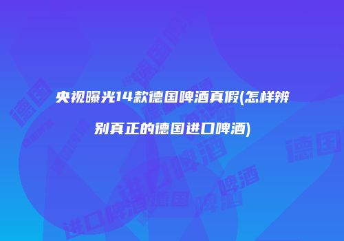 央视曝光14款德国啤酒真假(怎样辨别真正的德国进口啤酒)
