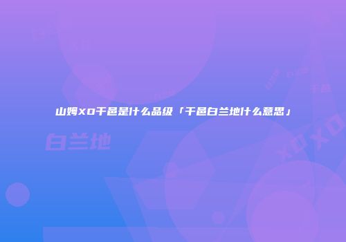 山姆XO干邑是什么品级「干邑白兰地什么意思」