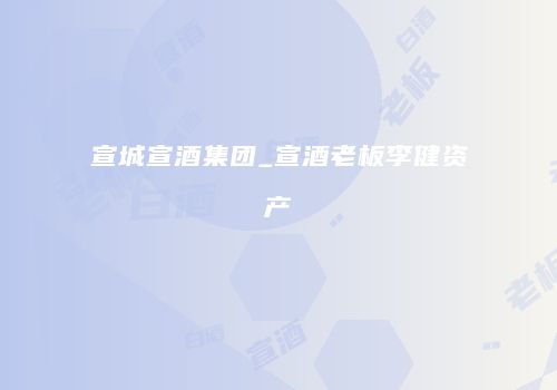 宣城宣酒集团_宣酒老板李健资产