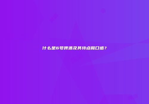 什么是6号啤酒及其特点和口感？