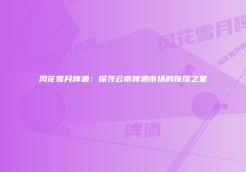 风花雪月啤酒：探寻云南啤酒市场的璀璨之星