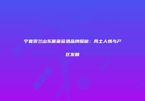 宁夏贺兰山东麓葡萄酒品牌探秘：风土人情与产区发展