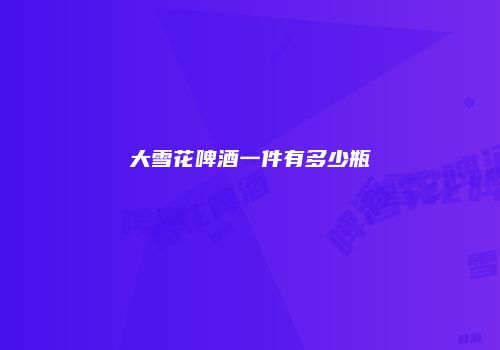 大雪花啤酒一件有多少瓶