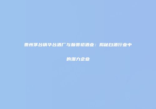 贵州茅台镇华台酒厂与赖贵初酒业：揭秘白酒行业中的潜力企业