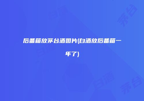 后备箱放茅台酒图片(白酒放后备箱一年了)
